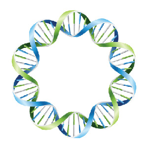 300x300 Many Expression Plasmids And Empty Vectors Now Available