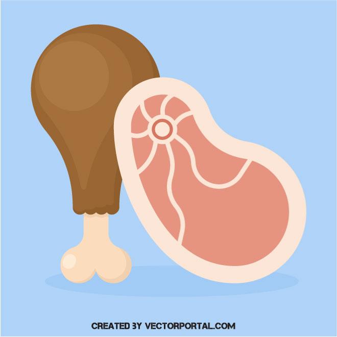 660x660 Protein Food Vector Clip Art