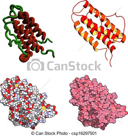 443x470 Erythropoietin (Epo, Epoetin) Protein Hormone. Stimulates