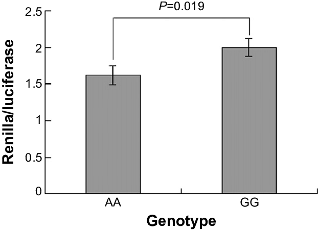 622x455 Renilla Luciferase Assay