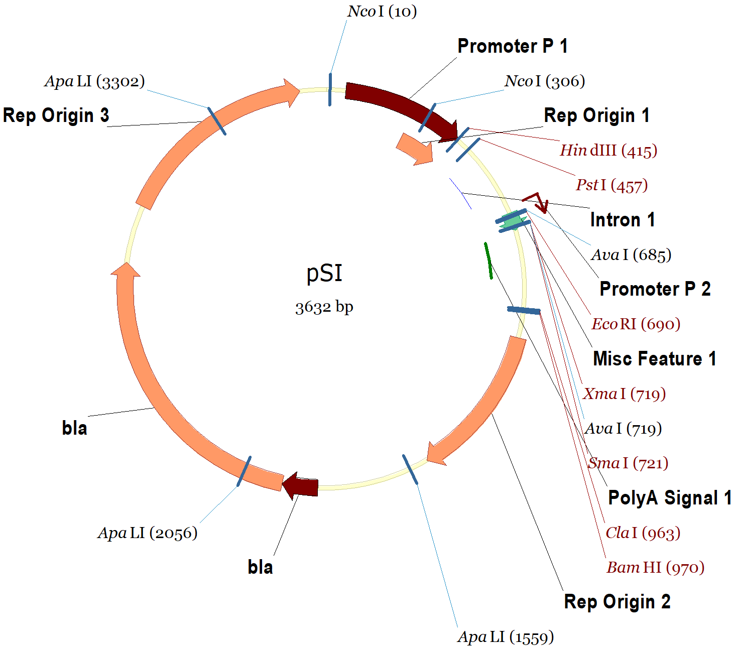 1456x1289 Psi Vector Map And Sequence