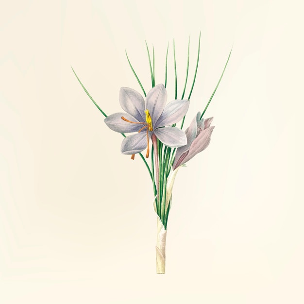 626x626 Public Domain Vectors, Photos And Psd Files Free Download