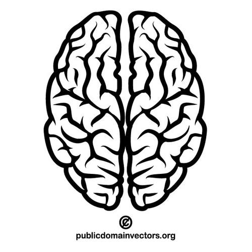 500x500 Vector Image Of A Human Brain Public Domain Vectors Cliparts