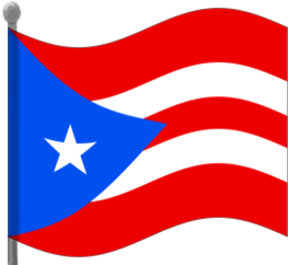 263x242 Puerto Rican Flag