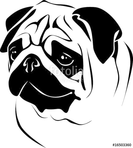449x500 Portrait Pug Stock Image And Royalty Free Vector Files On Fotolia