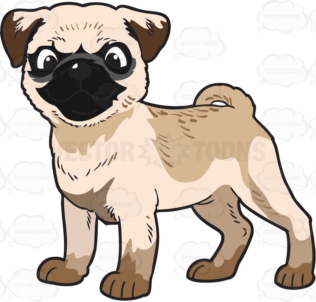 1024x979 A Baby Pug Clipart By Vector Toons