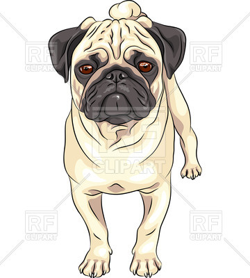 360x400 Standing Fawn Pug Vector Image Vector Artwork Of Plants And