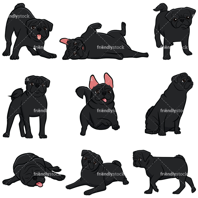 800x800 Black Pug Dogs Cartoon Vector Clipart