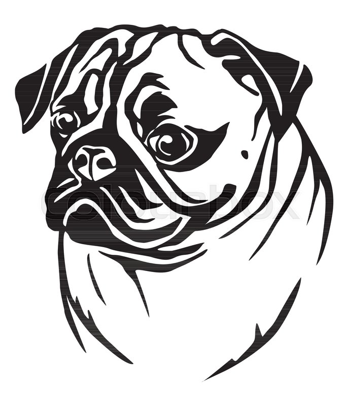 686x800 Decorative Portrait In Profile Of Dog Pug, Vector Isolated