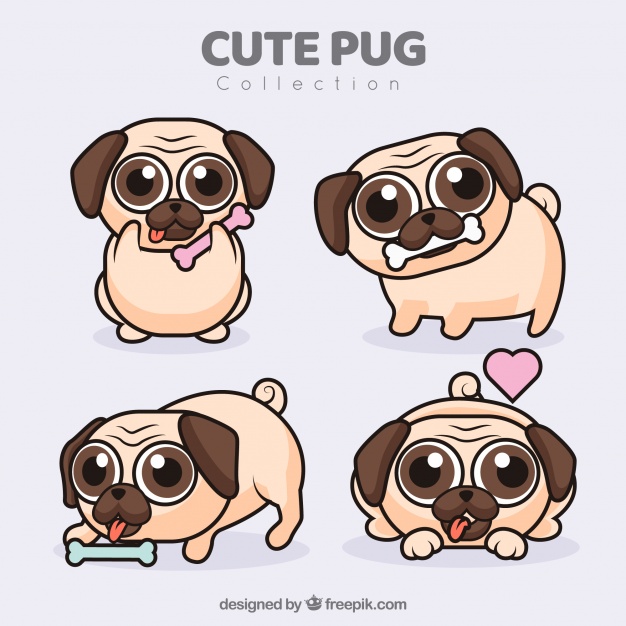 626x626 Cute Pugs With Flat Design Vector Free Download
