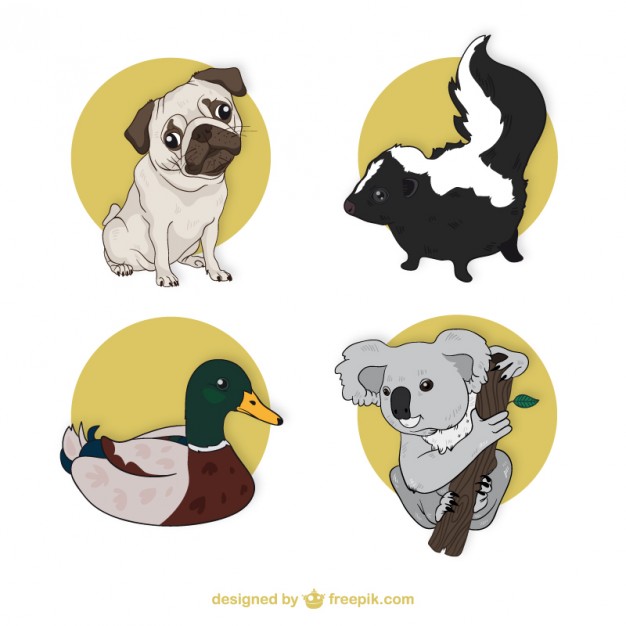 626x626 Dog Vectors, Photos And Psd Files Free Download