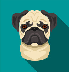 228x240 Birthday Pug Vector Photos, Royalty Free Images, Graphics, Vectors