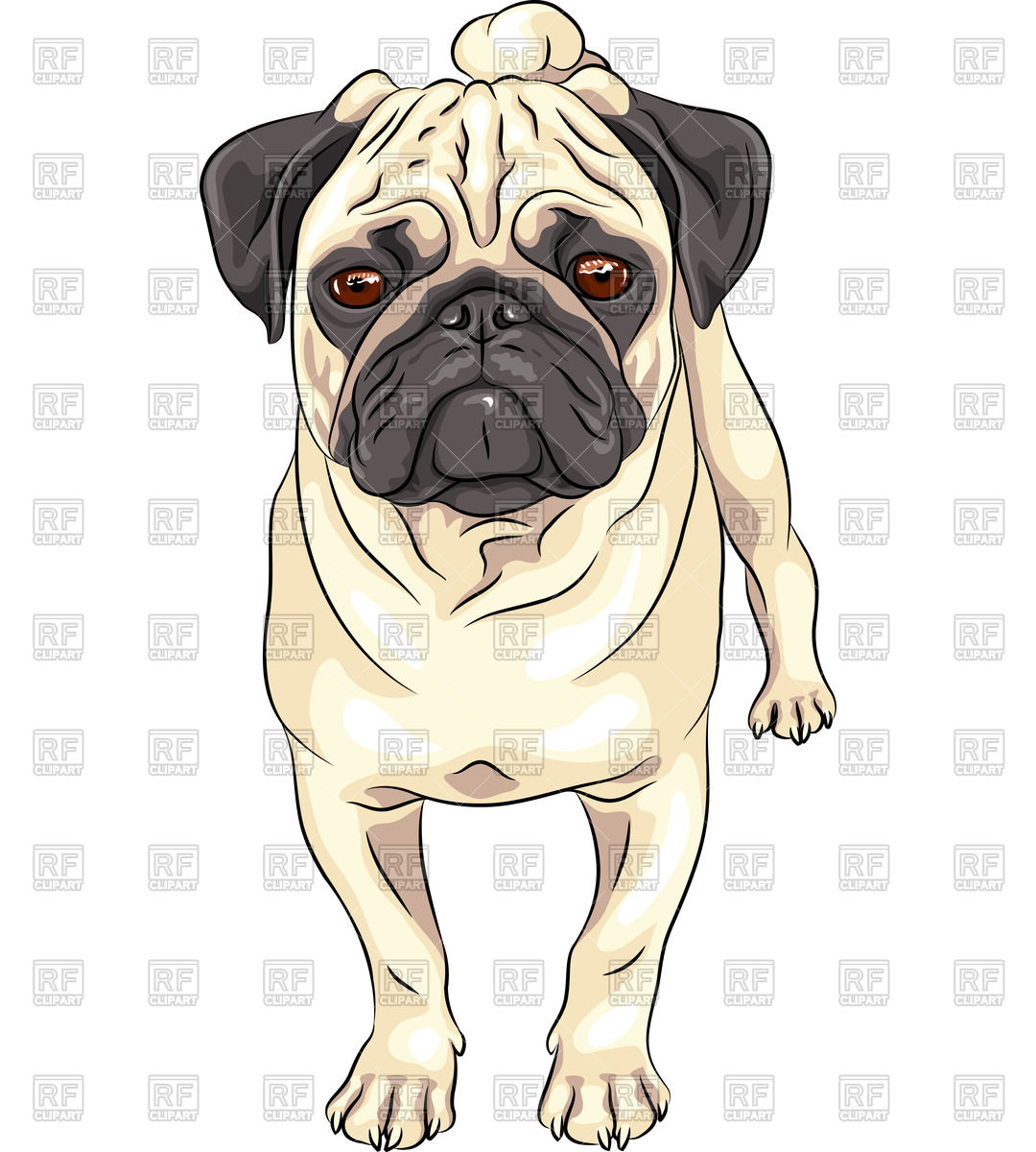 1080x1200 Standing Fawn Pug Vector Image Vector Artwork Of Plants And