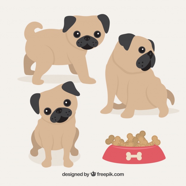 626x626 Cute Baby Pug Dogs Vector Free Download