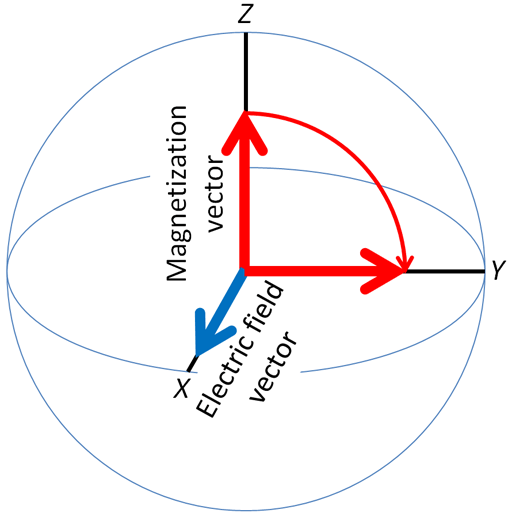 512x517 Pulse Sequences And The Vector Model