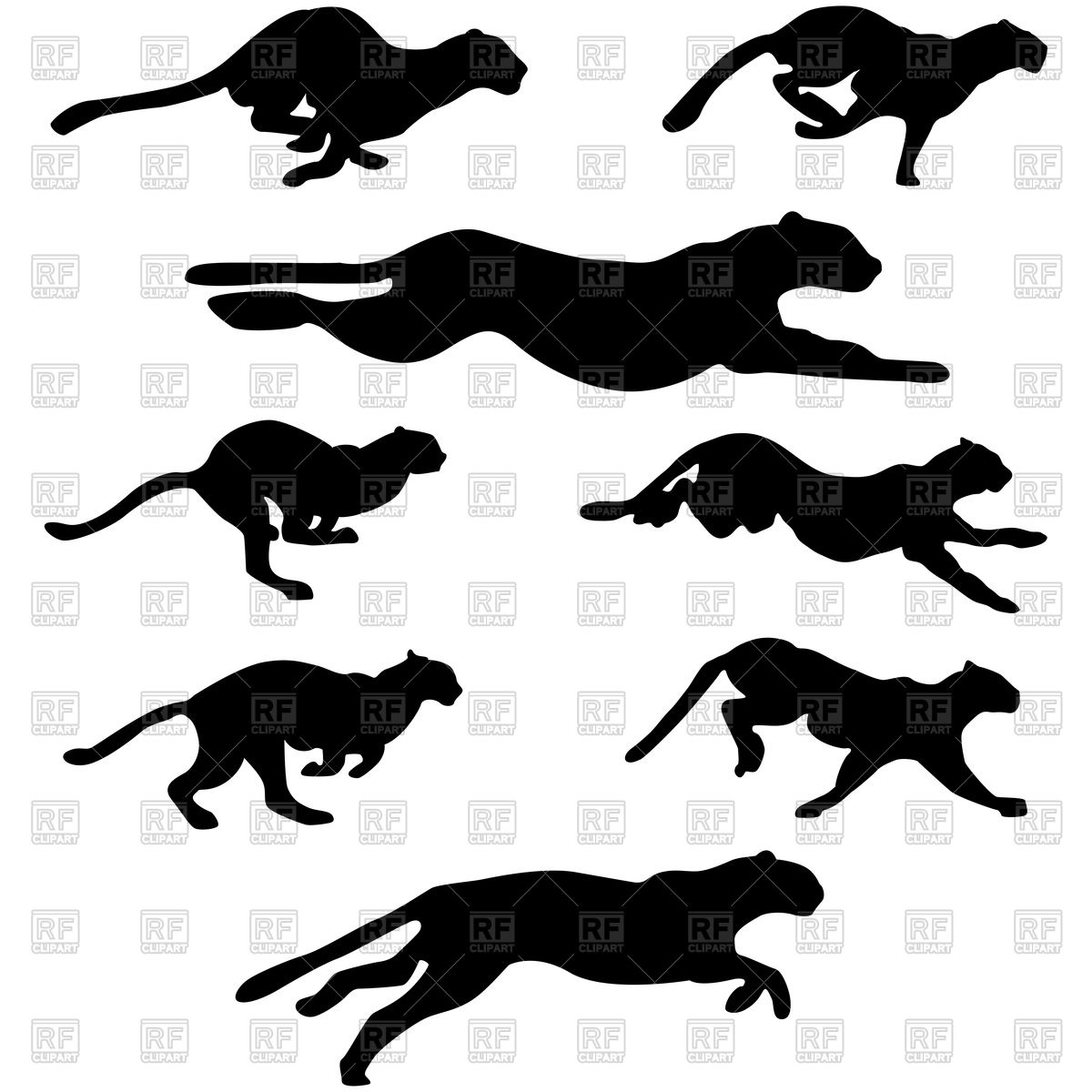1200x1200 Silhouettes Of Running Wildcats