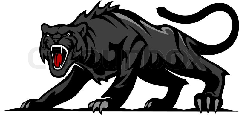 800x385 Danger Black Panther Or Puma For Mascot And Tattoo Design Stock