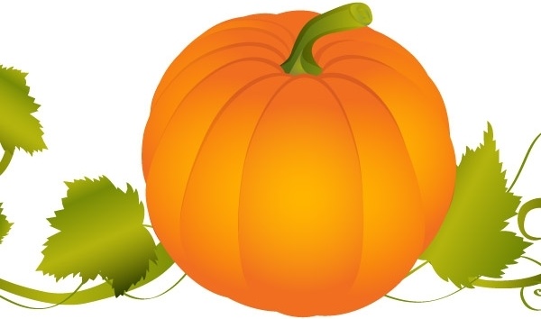 600x354 Pumpkin Vector Graphic Free Vector In Adobe Illustrator Ai ( .ai