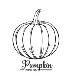 238x250 Drawn Pumpkin Hand Drawn