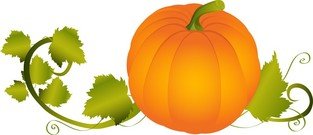 313x135 Free Pumpkin Vine Clipart And Vector Graphics