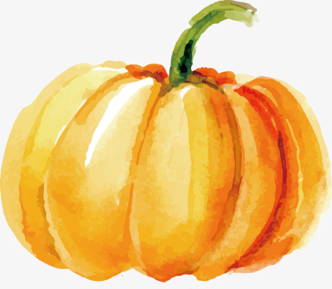 650x566 Vector Watercolor Painted Pumpkin, Watercolor Vector, Pumpkin