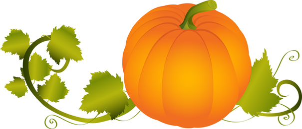 605x260 Pumpkin Vines Vector Graphics To Download