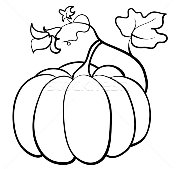 600x576 Vector Pumpkin Vegetable Vector Illustration Svitlana Amelina