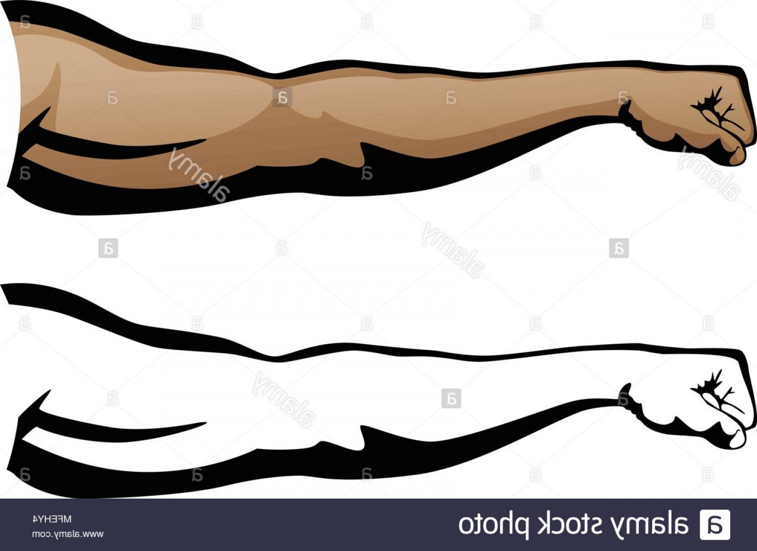 1560x1135 Muscular Arm Extended Fist Punch Vector Illustration Image Arenawp