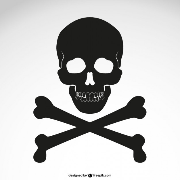 626x625 Skull Vectors, Photos And Psd Files Free Download