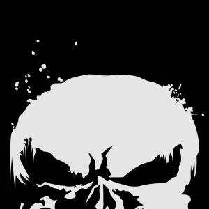 300x300 The Punisher Skull American Flag Logo Sohadacouri