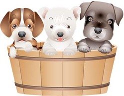 249x192 Free Puppy Psd Files, Vectors Amp Graphics