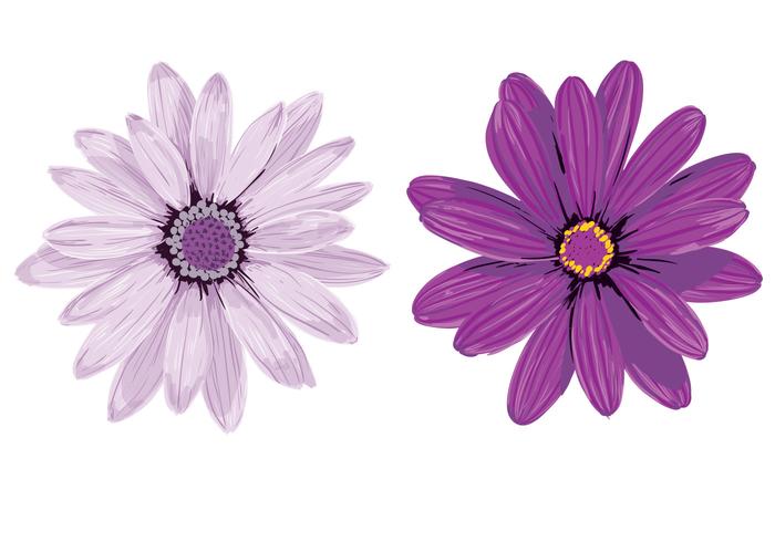700x490 Purple Flower Vectors