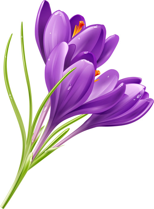 500x680 Purple Flower Shiny Vector Free Download