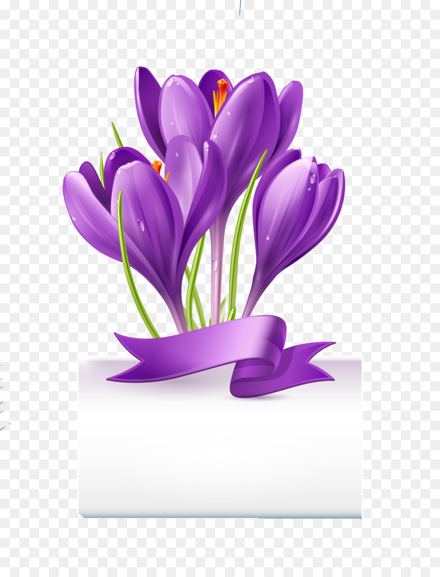 900x1180 Royalty Free Crocus Stock Photography Flower