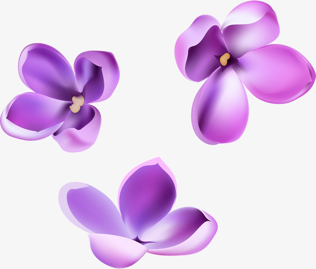 650x552 Vector Hand Painted Purple Flowers, Hand Vector, Vector, Hand