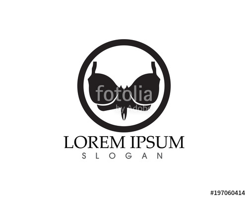 500x400 Set Of Different Push Up Bras Isolated Over Stock Image And