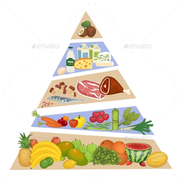 590x590 Food Pyramid Vector Concept In Flat Design By Studioworkstock