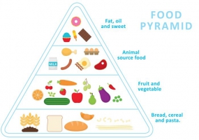 285x200 Food Pyramid Free Vector Graphic Art Free Download (Found 8,320