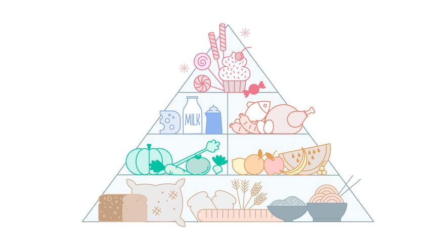 882x490 Free Food Pyramid Vector