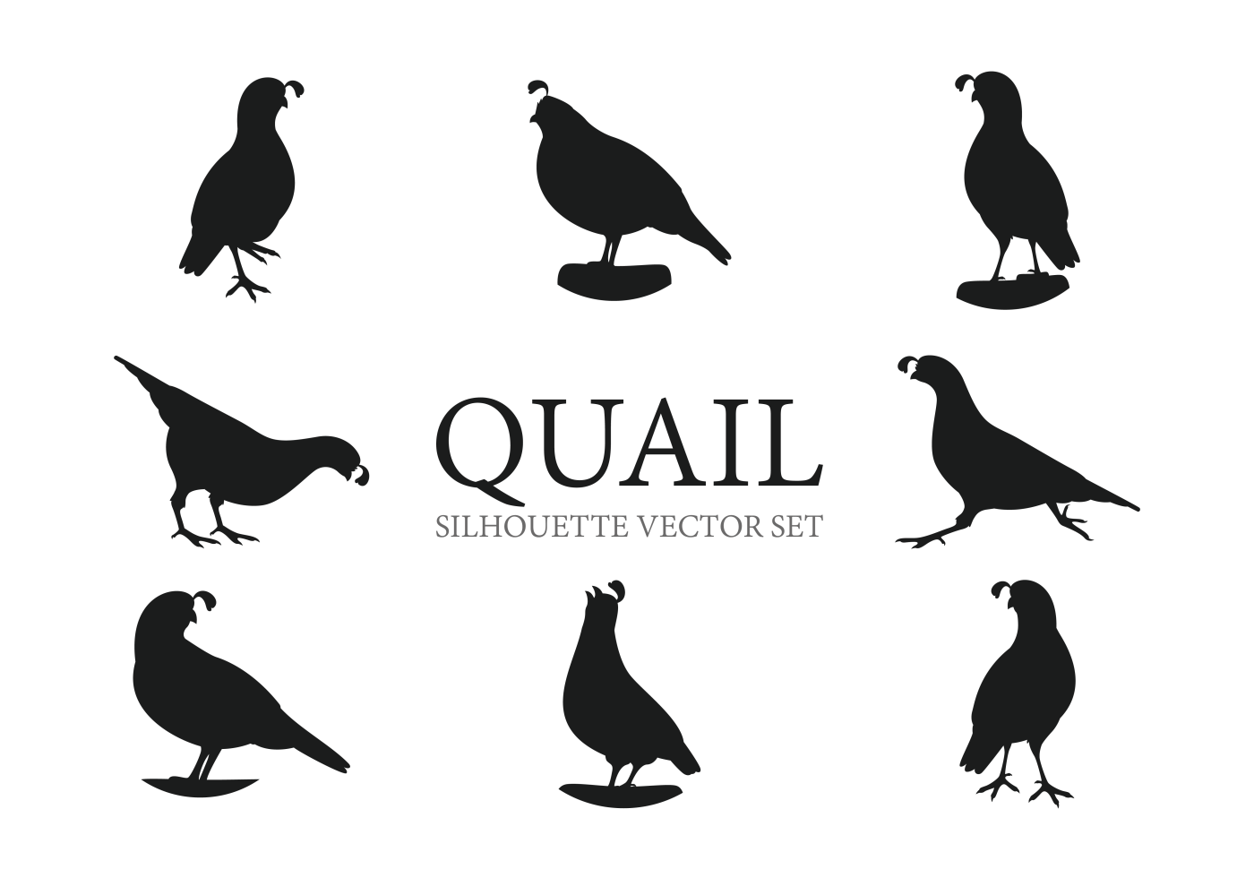 1400x980 Quail Free Vector Art