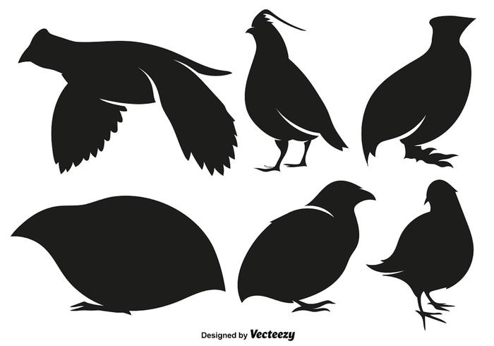 700x490 Vector Quail Vector Set