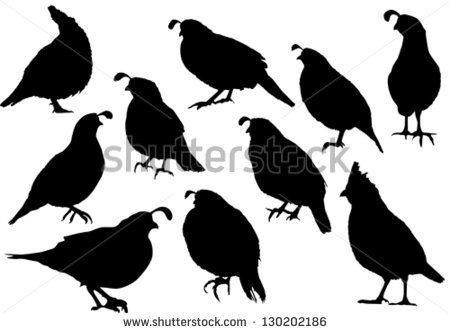 450x333 Quail Silhouettes