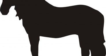 367x195 Free Vector Art, Images, Graphics Amp Clipart Download More Free