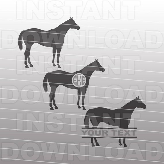 570x570 Quarter Horse Svg Filecountry Western Svgranch Svg Vector Etsy