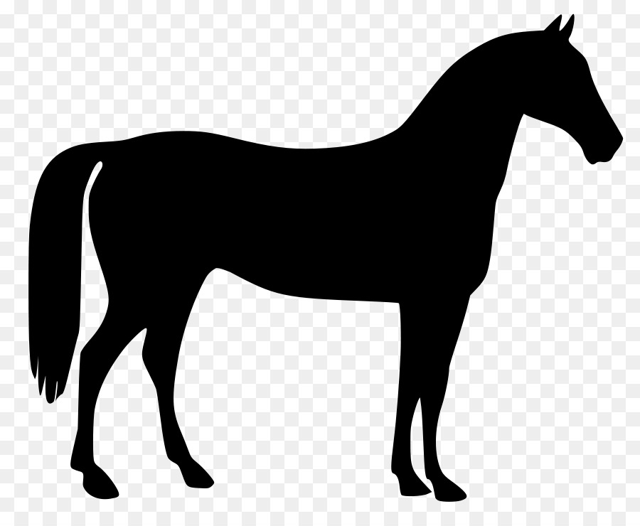 900x740 Download Horse Vector Clipart Thoroughbred American Quarter Horse