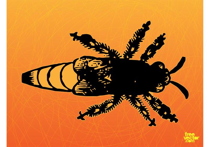 700x490 Queen Bee Free Vector Art
