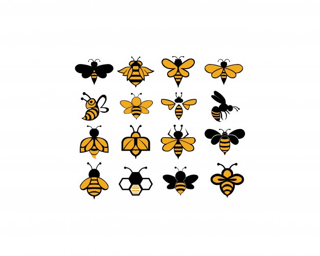 626x500 Bee Vectors, Photos And Psd Files Free Download