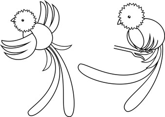 338x240 Search Photos Quetzal