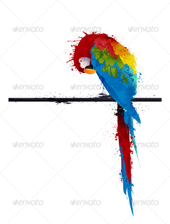 590x776 Vector Parrot Parakeet, Graffiti By Fet Graphicriver