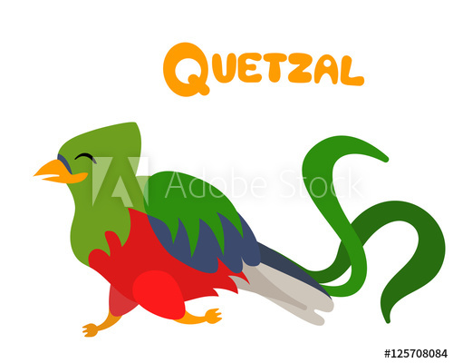 500x400 Vector Letter Q Quetzal Bird For Children Alphabet Illustration